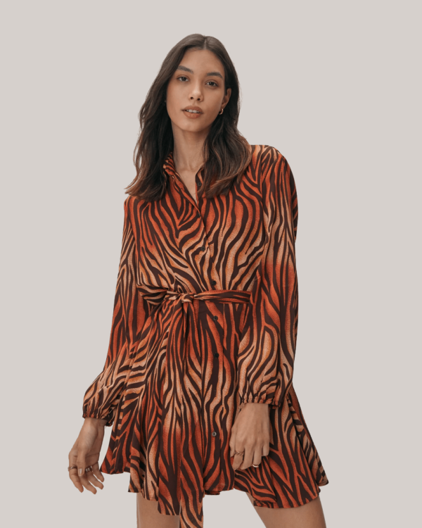 Zebra Tied Shirt Dress