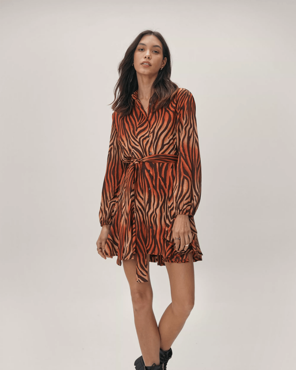 Zebra Tied Shirt Dress